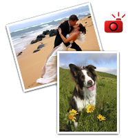 Large format prints